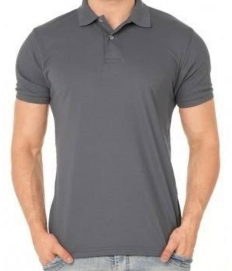 POLO MASCULINA 29